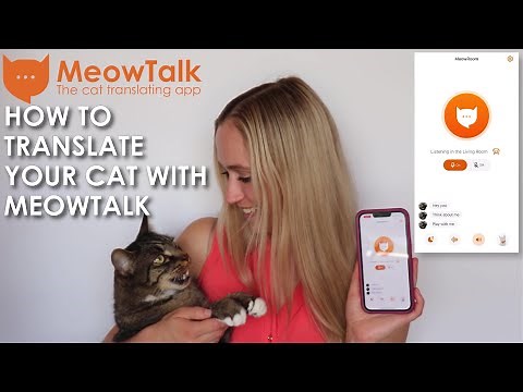 How to Translate Your Cat With MeowTalk