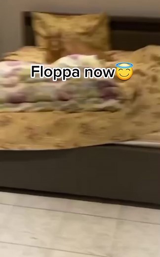 Floppa op TikTok