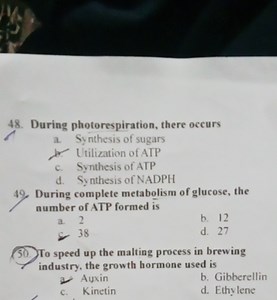 During photorespiration, there occurs   a. Synthesis of sugars... | Filo