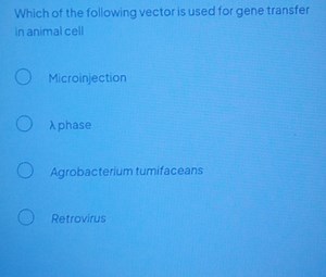 Which of the following vector is used for gene transfer in anim... | Filo
