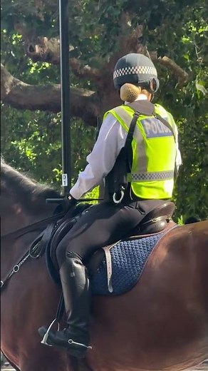 “Mounted police keeping London traffic in order 🚦🐎” #britain