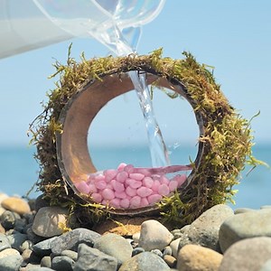 28K views · 108 reactions | From tropical fruit to aquarium treasure  | 5-Minute Crafts Like | Facebook