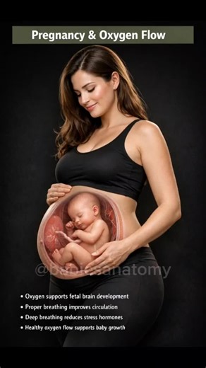 How Oxygen Supports Your Baby's Development
