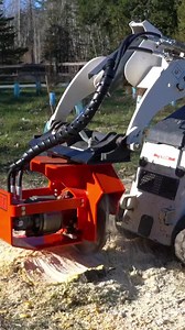 3K views · 13 reactions | Obliterating a good sized cottonwood with...