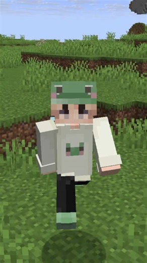 FatieDadie on Instagram: "Everything in the New Minecraft Update #minecraft #mcyt #trending #minecraftfunny #minecraftmemes"