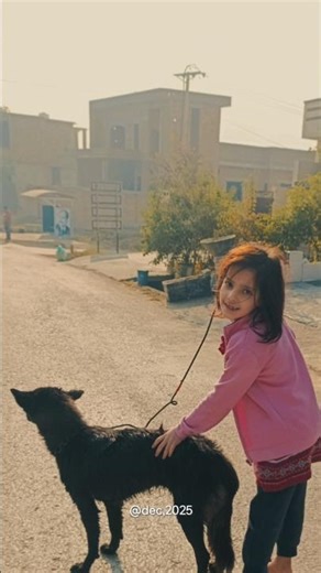 Dogs _ Caring for a pet teaches children responsibility and empathy #pet #short #dog #puppy