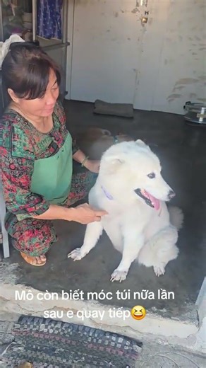 Ai là cục vàng của bà cô bác anh chị em yêu mến em nó cho xin lượt view share link đăng ký kênh dùm