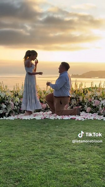 Plan the Perfect Proposal: Ideas and Guidance