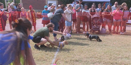 2nd annual Dachshund Derby wags its way to Marietta