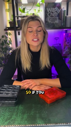 Cómo cultivar tomates: siembra y cuidados esenciales