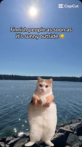 Sun spring = happy Finnish people 🥳 . . . . . #cheapsleephelsinki #spring #finnishproblems #finland #sun #meme #haha #reel | CheapSleep Helsinki