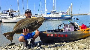 Surprising halibut encounter in 5ft depth!