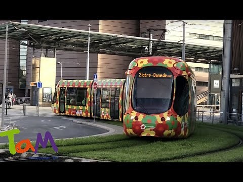 Tramway de Montpellier - Ligne 2 🌼 | HD