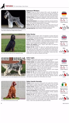 55 reactions · 3 comments | Thank you Fabio Bense for using the picture of our Multi CH FAIRRAY TEQUILA for the Brazilan Dog Magazine https://revistadigital.caes-e-cia.com.br/edicao517anuarioracas25/index.html! | Hans Sleegers | Facebook