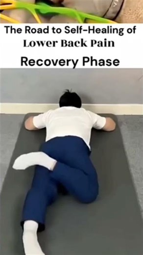The Road to Self-Healing Lower Back Pain | 10-Min Daily Routine for Instant Relief #shorts#ytshorts
