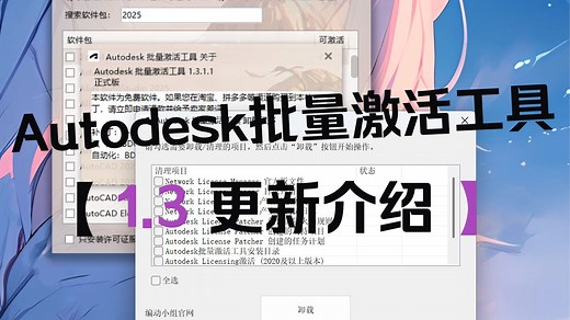 Autodesk批量激活工具1.3更新介绍-编程小子-编程小子-哔哩哔哩视频