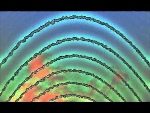 The Liquid Sound Company - the art of ecstasy