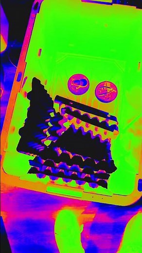 Deep Cleaning the Dubia Roach Colony and Adding Fresh Cardboard 🪳🔥”