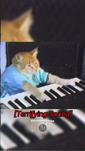 Don't play this cat sound slowed down😨 #warning #scary #cursed
