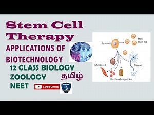 Stem Cell Therapy in Tamil | Applications of Biotechnology I Zoology | Class 12 | TNSCERT | NEET