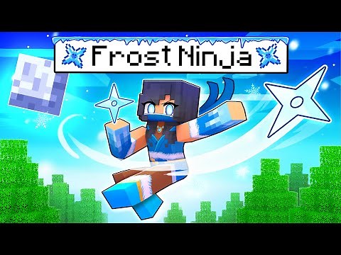 Aphmau is the FROST NINJA In Minecraft!