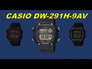 Casio DW291H-9AV Watch Overview