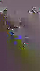 HIIT without the hurt!🔥 Introducing Speedflex Blades. A new piece of equipment that combines a full-body workout into just one piece of equipment! This piece of kit combines strength training and cardio to hit your workout goals. Like this post if you want to learn more! Speedflex | Village Gym