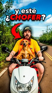 76K views · 5.9K reactions | En Brasil Hasta Los Perros Manejan Moto  #humorviral #fblifestyle #comediahumor #animalesgraciosos | FrankBaun | Facebook