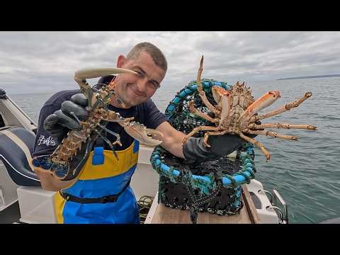 Hauling the Fish Locker Lobster Pots - Who will catch the most??? | The Fish Locker