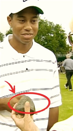 Impossible Golf Shots: Sergio Climbs a Tree and Tiger Hits a Rock #golf #golfswing #golfer #pga