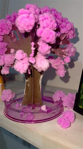 Growing a magic sakura tree! Easy DIY!🌳check out this viral #magictree #sakura #japan #shorts #fyp