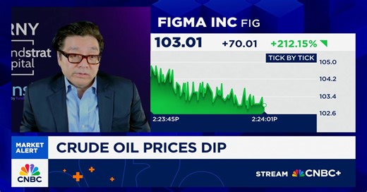 Tom Lee: Current investor caution suggests market isn't frothy