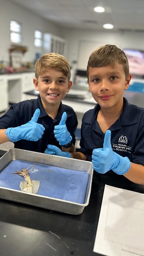 🦑 Check out our Lower School students as they explored the fascinating anatomy of a real squid! With the guidance of Mr. Hernandez, our students uncovered several parts such as the beak, gills, hearts, the ink sac, and so much more! Afterwards, they even used the squid’s inner shell, known as a pen, to write their names with ink! 🖋️ #MiamiCountryDaySchool | Miami Country Day School
