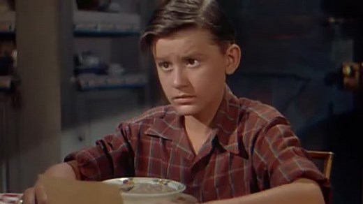 My Friend Flicka 1943