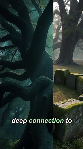 Celtic Druids: Forest Mysteries Hidden in Plain Sight?