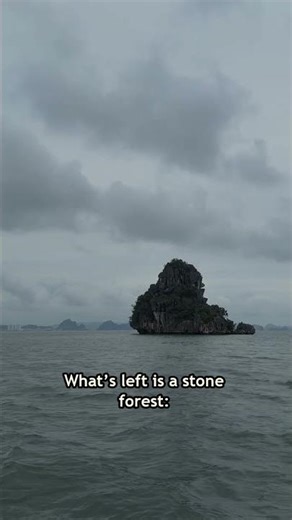 This Stone Forest Was Carved by Water