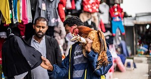 Ethiopians hope for peace, economic stability as PM Abiy Ahmed wins election | Africanews