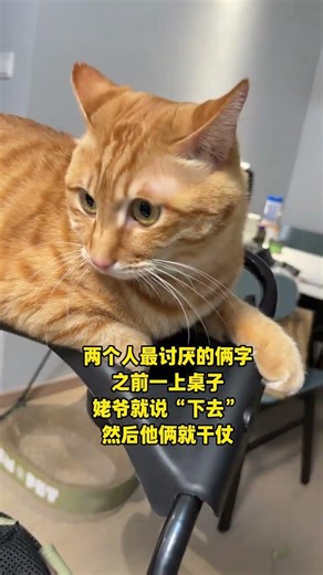 At Grandpa s command the low-level code of the human brother was triggered again and the m