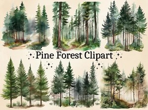 Watercolor Pine Forest Clipart: Woodland Landscape PNG (digital Bundle) - Etsy