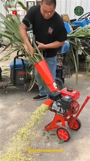 Amazing Mini Chaffcutter Machine