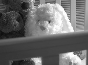 Baby Dedication Too | ChurchStuf