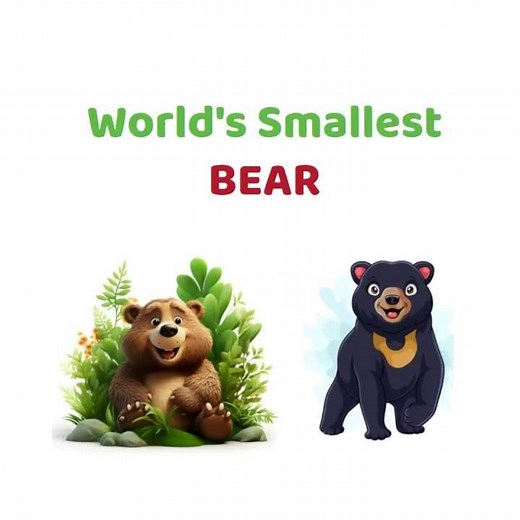 Meet The World’s Smallest Bear 🌍|| The Cutest Bear You’ve Never Seen 😳
