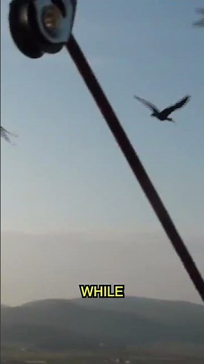 Why do birds fly in V formations?