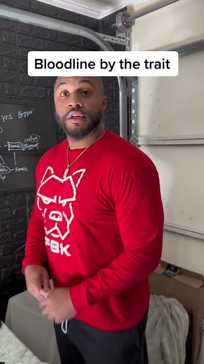 How to Build a Strong Bloodline for Your Dogs