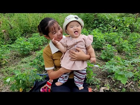 Full video: 200 days Harvesting fruits and agricultural products to sell at the market,building life