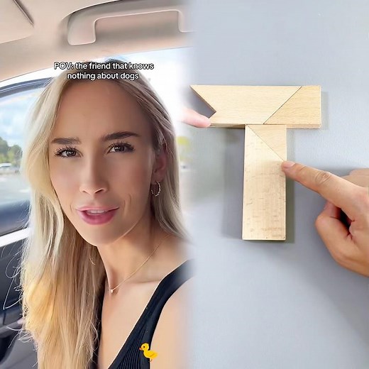 Wish they came with a user manual #dogs #dogtok #dogowners #funnydog #dogcomedy #pets