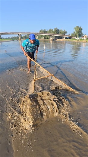 Rural Boys Catch Massive Fish in Shallow Water | RMB Fishing