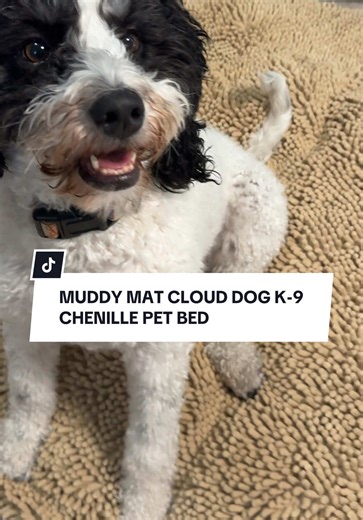 You can't fake comfort! This K9 Cloud dog bed by @Muddy Mat is our new favorite!! #dogbed #muddymat #dogproducts #dogsofttiktok #tiktokshopcreatorpicks 🐶 Muddy mat dog bed Muddy mat cloud dog bed Muddy mat review Washable dog bed Bernedoodle Best dog beds