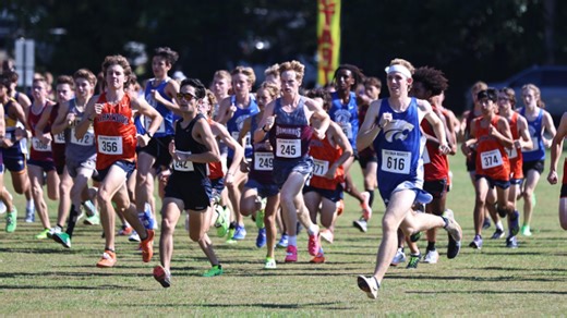 2024 Tennessee State Cross Country Region Results Hub
