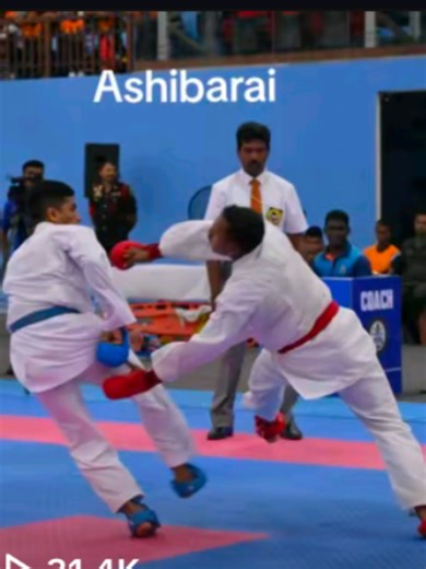 Kumite: Emphasizing Technique Over Force in Karate